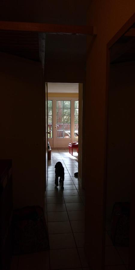 Albertine Appt 112 Moliets-et-Maa Dış mekan fotoğraf